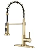 WEWE Pull-Down Kitchen Faucet, 2-Mode Sprayer, Gold, High Arc