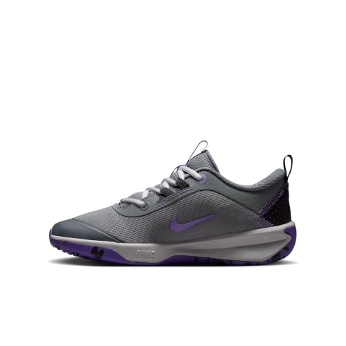 Nike Omni Multi-Court (Kids)