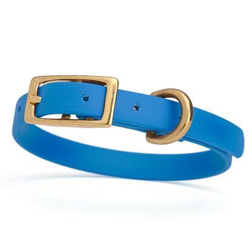 Image of Viper Biothane Heavy Duty Waterproof Dog Collar Strong Coated Nylon Webbing w /Solid Brass Hardware Odor-Proof Easy to Clean High Performance Fits Small Medium or Large Dogs, Cerulean Blue