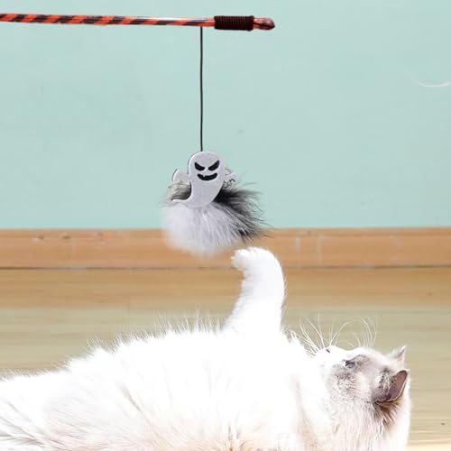 �L����炵 �_�^�C�v - �n���E�B�� �����p �q�L �X�e�B�b�N - �p���v�L���S�[�X�g�t�� �l�ԍH�w�݌v �L����炵 �ދ����� ��{�\�h�� �g���[�j���O �^���p �H�t��