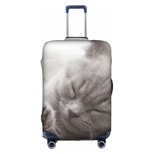 [NEKKII] L ueBbVV[gwA  Q QbWJo[ X[cP[XJo[ gx_XgJo[ L[Jo[ X[cP[XیJo[ gN Jo[ hoJo[ Lkf ʋCh h~ s