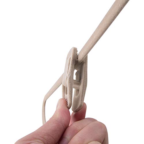 Conjunto de 12 Clips para Cabides para Prender Saias/Shorts Win Win Bege