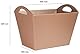 OSCO Blush Zeitschriftenkorb aus Kunstleder | Zeitungsständer | Aufbewahrungskorb | Prospekthalter | Aktenorganizer | Tragegriffe | H30 x B40,5 x T26,5 cm |