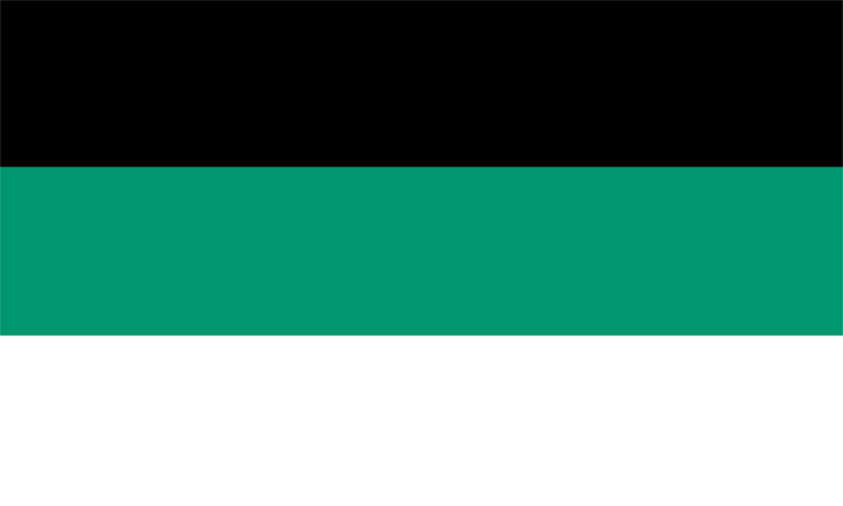Drapeau Bulgarie noir vert blanc grand format pour collectionneur