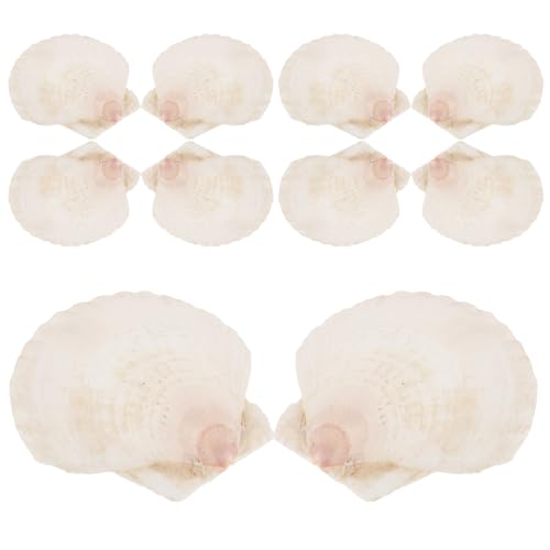 lurrose 10 VRFz^eLk Ntgp ی^RVF hǏ prz[fR[Vp