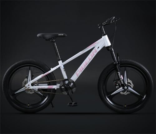 マウンテンバイク ピンク」の人気商品一覧 | 安い商品を通販サイトから