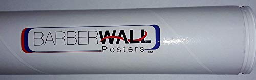 Barber Poster - Barber Shop Poster - Features Latinos with Modern Haircuts, Laminated for Fade Prevention - Dimension: 24 x 36 Inches in Size. Great Images Barbers Will Love