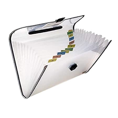 SHUANGYOU Expanding Document File Organizer | Waterproof File Folder Briefcase with 12 Pockets, Durable Buckle, Portable Handle (Transparent - Black,Pack of 1