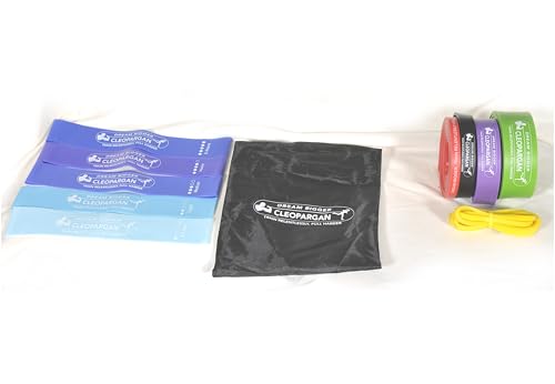 10 Premium Resistance Bands Set: Multi-Color Loop Bands for Home & Gym - Full Body Workout, Strength Training, Physiotherapy - Unisex