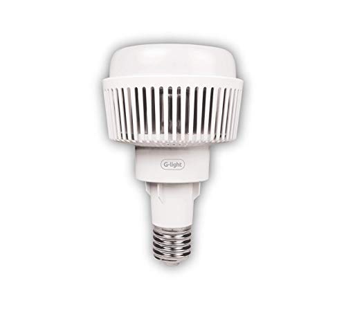 TLN 190 LED E40 120 100W 6500K AUTOVOLT unidade