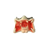 MECKOZ Decoracion de halloween Mascarilla depredadora Horry Monster Masks Halloween Cosplay Props Tamaño promedio para adultos