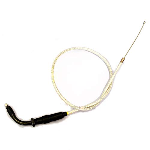 PHOENIX L[ ANZ C[ P[u  710mm Vo[ XebV AB27 S 50  oCN