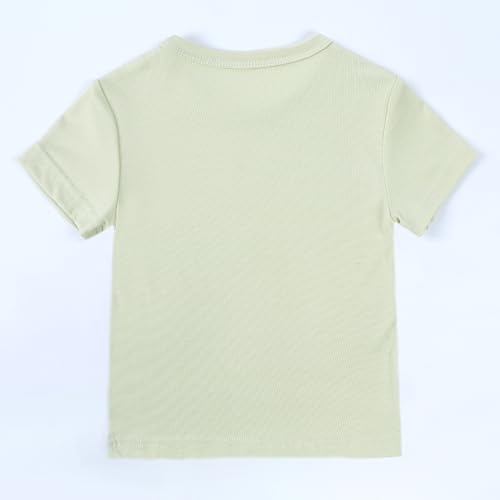 Image of Kids Tales Little Boys Girls Solid Color Short Sleeve Pullover T-Shirt | 12 Months - 4 Years, Round Neck, Solid Color, Short Sleeve, Soft Material, Casual Daily Wear, Sport Wear