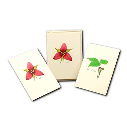 Image of Earth Sky + Water - Wildflower Assortment II Notecard Set - 8 Blank Cards with Envelopes (4 each of 2 styles)