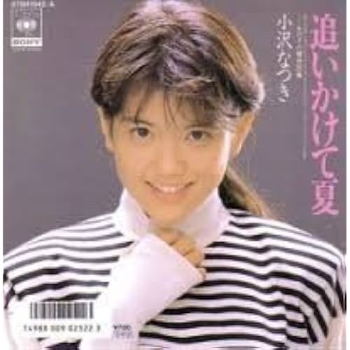 追いかけて夏 / 小沢 なつき