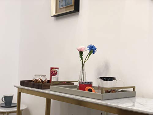 WV Grey Decorative Tray Faux Calfskin Finish for Ottoman, Coffee Table, Dinning Table with Champagne Gold Stainless Steel Handles (Grey Faux Calfskin) WV Grey Decorative Tray Faux Calfskin Finish for Ottoman, Coffee Table, Dinning Table with Champagne Gold Stainless Steel Handles (Grey Faux Calfskin)