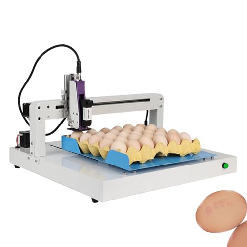 Codificadora automatica de huevos - Maquina codificadora continua para imprimir fechas, logotipos, texto y codigos QR en huevos 