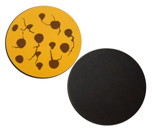 Set de Imanes Decorativos Chocolate Chip Cookies 12 Pzas miniatura 3