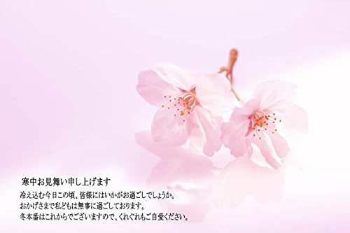 y|Xg|XgJ[hzu\グ܂ ₦ށ`v ̗t͂nKL