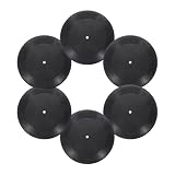 QUARKZMAN Kit de 6pcs Disques Vinyles Fausse, 10