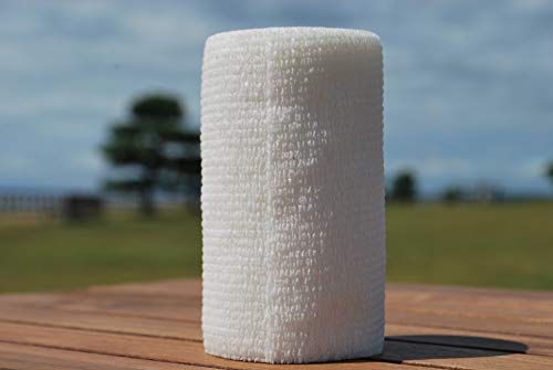 {Yp oe[W (10cm X 4.5mj12×1P[X eF (F)