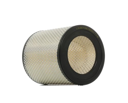 RIDEX Filtro aria FIAT,PEUGEOT,CITROËN 8A0141 1444A1,1384034,1902457 Filtro dell'aria,Filtro aria motore 4389435,5980183,5983899,71736135,71754225