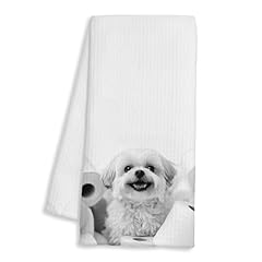 Tissue Shih Tzu-1