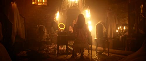 The Stylist [Blu-ray]