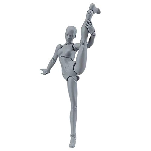 COLOR-LILIJ Drawing Figures for Artists Action Figure Model Human Mannequin Man and Woman Set,with Accessories Kit for Sketching, Painting, Drawing, Artist
