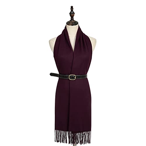Image of RIIQIICHY Women's Fringe Shawl Wrap Pashmina Scarf for Wedding Evening