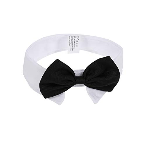 UEETEK coleira borboleta para cachorro filhote de cachorro coleira gravata borboleta fofa gravata de