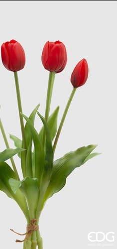 enzo de gasperi EDG Set 2 Bouquet di Tulipani Sfumature di Rosso