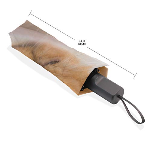 Colorful Folding Umbrella Lazy Funny Cat Pet Home Windproof Compact Folding Umbrella Rain & Wind Resistant Compact And Lightweight For Business And Travels #TOP5