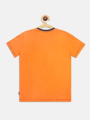 Image of Li'l Tomatoes Boys T-Shirt with a Surprise Gift
