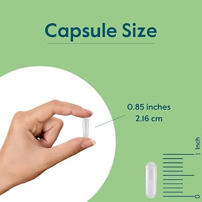 BESTVITE Filler-Free Niacinamide 500mg (240 Vegetarian Capsules) - Flush Free Vitamin B3- No Stearates - Vegan - Non GMO - Gluten Free