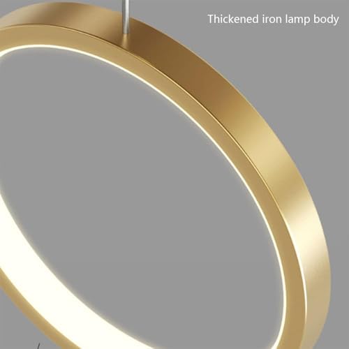 Lustre moderne simple et petite lampe suspendue de restaurant - 2