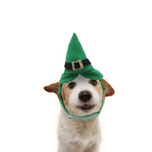 Sombrero Disfraz Halloween para Perros Pequeños miniatura 2