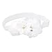 Bandeau Bébé Fille Accessoire de Photographie Bande Elastique de Cheveux (Blanc)