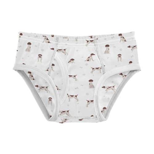 Boys' Exclusive Briefs Toddler Underwear 95% Combed Cotton Boxerbriefs 2T Pointer Dog Pattern 80
