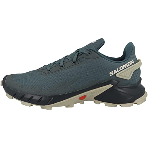Preisvergleich Produktbild Salomon Herren Running Shoes, Grey, 44 2 / 3 EU