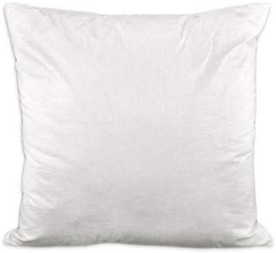 12 pillow forms