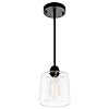 VILUXY Vintage Glass Pendant Light, Single Hanging Pendant Lighting, Black with Clear Glass Shade Classic for Farmhouse, Entryway, Dining Room, Kitchen Island, Foyer