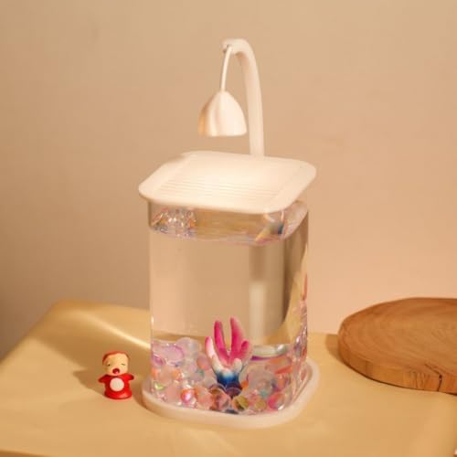 XVVX特別な超白の小さな怠惰なガラスの魚のカップ、闘魚のリビングルームの創造的なデスクトップの装飾の高級 (丸型スクエアタンク)