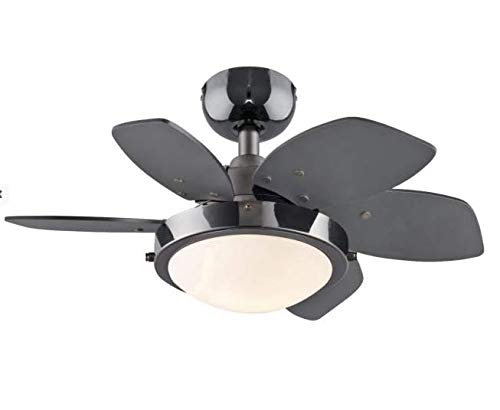 Ciata Small Ceiling Fan With Light, 24 Inch Quince Indoor Ceiling Fan In Gun Metal Finish With Led Light Fixture In Opal Frosted Glass With Reversible Black/Graphite Blades – 2 Pack #TOP5