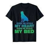 Steffordshire Terrier Dog for Woman and Girls