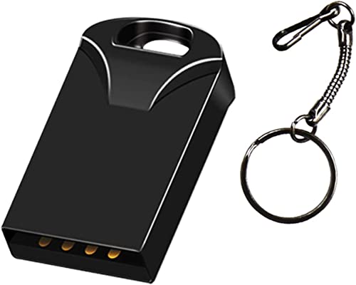Mini 2GB USB Flash Drives Thumb Drive Memory Sticks Pen Drives with OTG & Type-C Transformer (Black)
