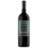 CHIANTI CLASSICO DOCG GRAN SELEZIONE 2021 BRANCAIA 0,750