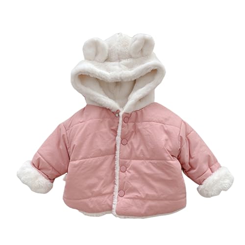 _E WPbg LbY ԕ y {^ j̎q ̎q  ۉ N w AEgEFA |Pbgt g h  ~  R[g  q xr[  ʉ ʊw h΍ o(80,A1-sN)