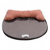YWJLQH Materassino Rinfrescante per Cani, Cuccia Estiva per Cani con Cuscino, per esterni, Caffè, Piccolo (50 * 43 * 6cm)