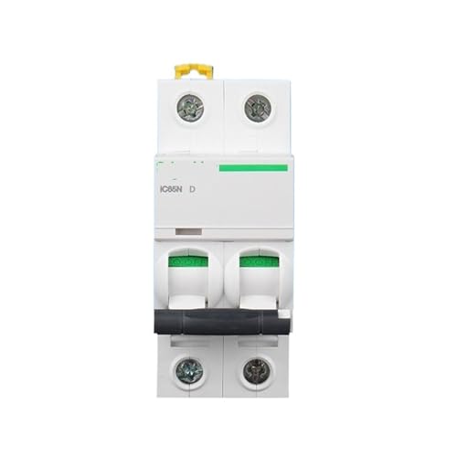Disjoncteur A9 IC65N courbe D 125A interrupteur bipolaire 2P
